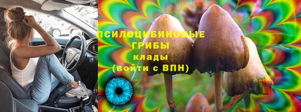 хмурый Сосновка